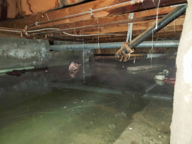  Hardinsburg, KY Water damage restoration Pros