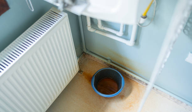 Best Flooded house restoration  in Hardinsburg, KY