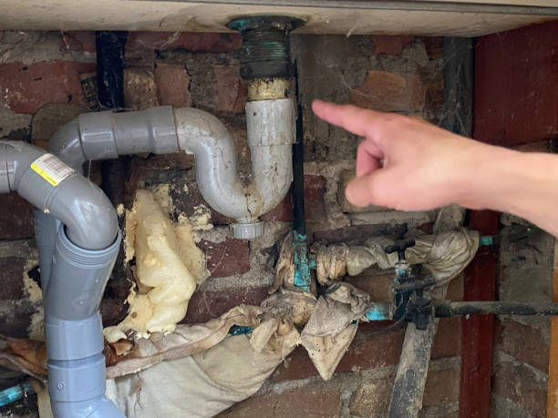 Best Residential water damage restoration  in Hardinsburg, KY
